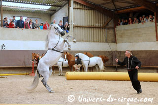 Haute-Marne: Sacha Houcke et Gaby Dew au Haras de Montier en Der