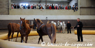 Haute-Marne: Sacha Houcke et Gaby Dew au Haras de Montier en Der