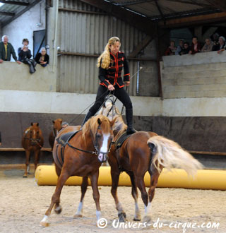 Haute-Marne: Sacha Houcke et Gaby Dew au Haras de Montier en Der