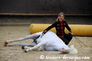Haute-Marne: Sacha Houcke et Gaby Dew au Haras de Montier en Der
