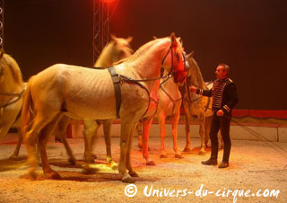 Var: le Grand Cirque Royal à Gassin - Saint Tropez du 02 au 17 août 2011