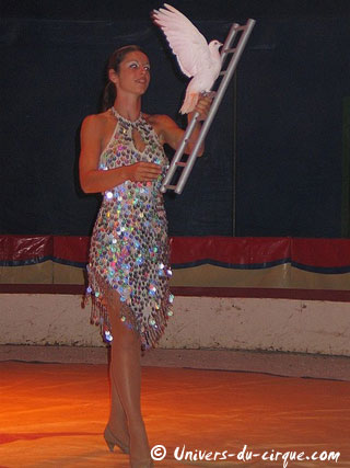 Var: le Grand Cirque Royal à Gassin - Saint Tropez du 02 au 17 août 2011