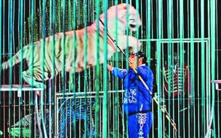 Seine-Maritime: les fauves sont dans la place avec le Cirque Zavatta Fils à Tourville-La-Rivière