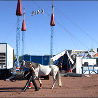 Suisse: le Cirque Knie arrive bientôt à Genève