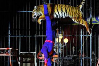 Loiret: Beaune La Rolande à l'heure du 1 Festival du Cirque du Loiret