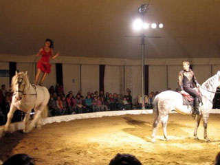 Marne: Cirko-Galop, le cirque fait son festival à Muizon