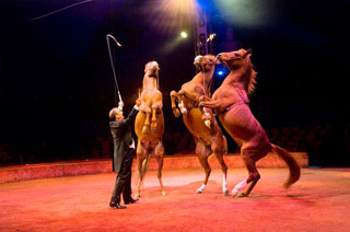 Entretien avec Gilbert Gruss, directeur du Cirque Arlette Gruss