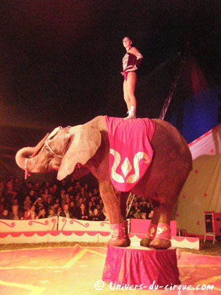 Le spectacle 2011 de l'International Cirque d'Europe