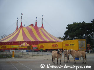 Paris: les cirques fêtent déjà Nol sur la Pelouse de Reuilly