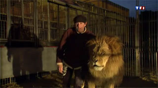 Paris: le Cirque Pinder sur la Pelouse de Reuilly à l'honneur sur TF1