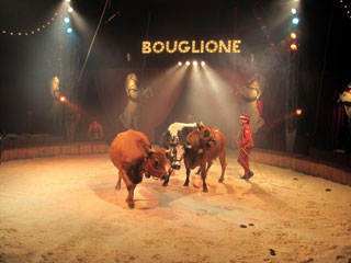 Yvelines: le Cirque Joseph Bouglione plante son chapiteau de Nol à Chatou