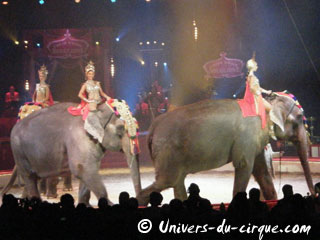 Seine-Saint-Denis: le Cirque d'Hiver Bouglione et le Circus Krone ressuscitent 