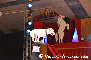 Tarn-et-Garonne: les répétitions de Nol en Cirque à Valence-d'Agen en images