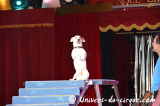 Tarn-et-Garonne: les répétitions de Nol en Cirque à Valence-d'Agen en images