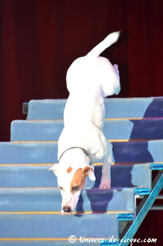 Tarn-et-Garonne: les répétitions de Nol en Cirque à Valence-d'Agen en images