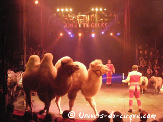 Paris: derniers jours de la saison 2011 du Cirque Arlette Gruss