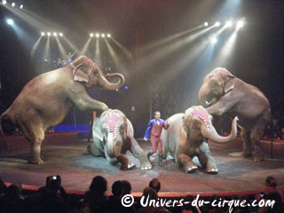 Paris: derniers jours de la saison 2011 du Cirque Arlette Gruss