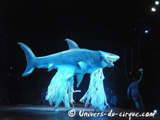 Nord: derniers jours du Circo Acquatico à Valenciennes
