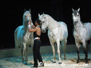 Italie: l'American Circus Togni à Naples à partir du 25 décembre 2011