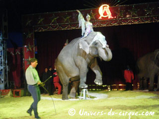 Italie: l'American Circus Togni à Naples à partir du 25 décembre 2011