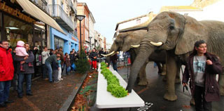 Tarn-et-Garonne: 3 éléphants, ça mange énormément à Nol en Cirque à Valence-d'Agen