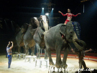 Paris: extrait vidéo des éléphants de Joe Gartner au Cirque Pinder