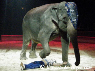 Paris: extrait vidéo des éléphants de Joe Gartner au Cirque Pinder