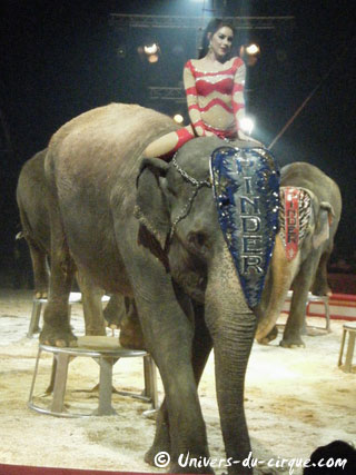Paris: extrait vidéo des éléphants de Joe Gartner au Cirque Pinder
