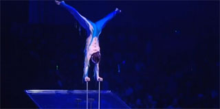 Aube: le Cirque Arlette Gruss à Troyes à l'honneur sur Canal 32