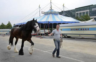 Grand Duché de Luxembourg: le Circus Roncalli s'installe à Luxembourg