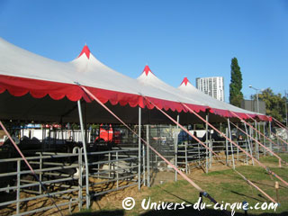 Autriche: le Circus Safari à Vienne jusqu'au 24 juin 2012