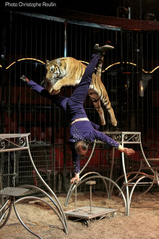 Val d'Oise: Eric Bormann au 13° Festival International du Cirque du Val d'Oise à Domont