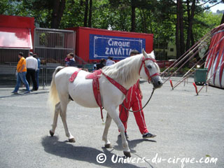 Le nouveau spectacle 2012 du Cirque Claudio Zavatta de la famille Prein