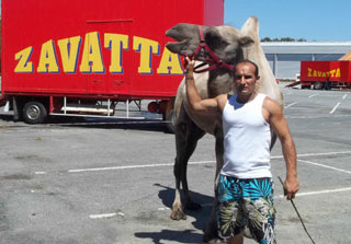Morbihan: Cirque Eric Zavatta à Pontivy: une affaire de famille