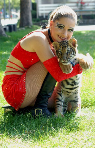 Suisse: le Circus Royal à Arbon du 31 juillet au 05 août 2012