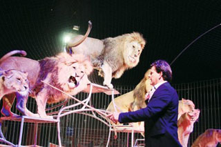 Charente-Maritime: quatre naissances et un événement avec la venue du Cirque Claudio Zavatta à Rochefort