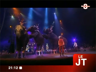 Haute-Savoie: le Cirque Arlette Gruss à Annecy à l'honneur sur TV8 Mont-Blanc