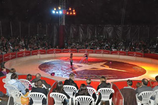 Côte-d'Or: le spectacle 2012 du Cirque Luigi Zavatta à Perrigny-Les-Dijon en images
