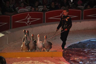 Côte-d'Or: le spectacle 2012 du Cirque Luigi Zavatta à Perrigny-Les-Dijon en images
