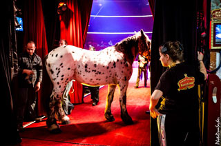 Paris: les répétitions du spectacle 