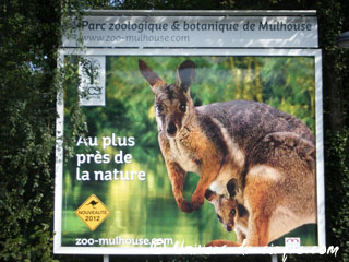 Haut-Rhin: l'Australie à l'honneur au parc zoologique de Mulhouse