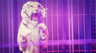 Paris: la bande annonce du spectacle 