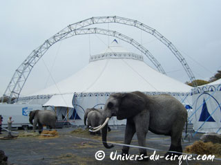 Nord: la 26 Grande Fête Lilloise du Cirque du 13 octobre au 18 novembre 2012