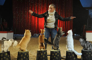 Rhône: Anelya Rosliakova parvient à dresser des chats à Lyon