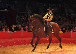 Deux-Sèvres: devant son succès, le Cirque Claudio Zavatta ne replie pas son chapiteau à Thouars