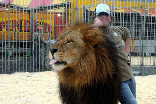 Loiret: le Cirque Pinder à Ingré les 10 et 11 novembre 2012