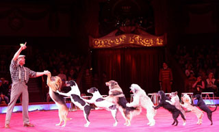 Isère: Wolfgang Lauenburger au 11 Festival International du Cirque de Grenoble