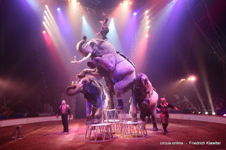 Nord: La Grande Fête Lilloise du Cirque en images sur www.circus-online.de
