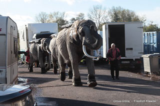 Nord: La Grande Fête Lilloise du Cirque en images sur www.circus-online.de