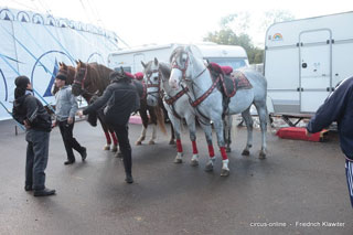 Nord: La Grande Fête Lilloise du Cirque en images sur www.circus-online.de
